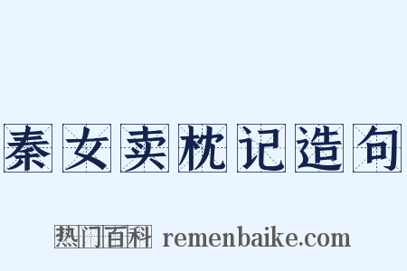 秦女卖枕记造句是什么意思的图片